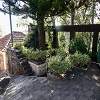 Plants: image 3 Of 92 Thumb